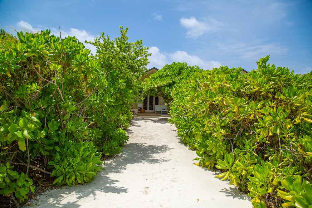 Thila Bar at Hondaafushi Island Resort thumbnail 7